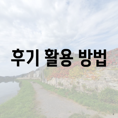 후기 활용 방법