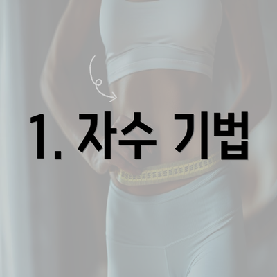 1. 자수 기법