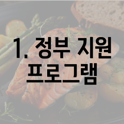 1. 정부 지원 프로그램