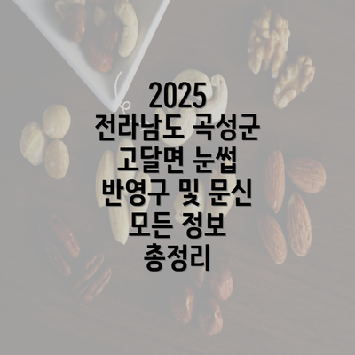 2025 전라남도 곡성군 고달면 눈썹 반영구 및 문신 모든 정보 총정리