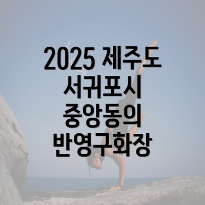 2025 제주도 서귀포시 중앙동의 반영구화장