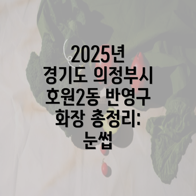 2025년 경기도 의정부시 호원2동 반영구 화장 총정리: 눈썹