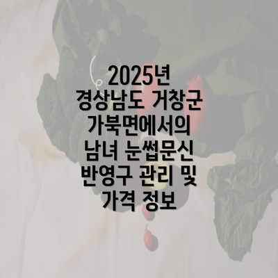 2025년 경상남도 거창군 가북면에서의 남녀 눈썹문신 반영구 관리 및 가격 정보