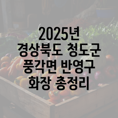 2025년 경상북도 청도군 풍각면 반영구 화장 총정리