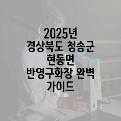 2025년 경상북도 청송군 현동면 반영구화장 완벽 가이드