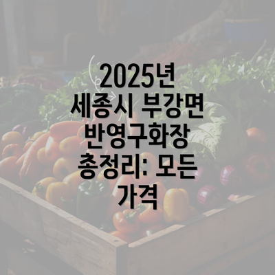 2025년 세종시 부강면 반영구화장 총정리: 모든 가격