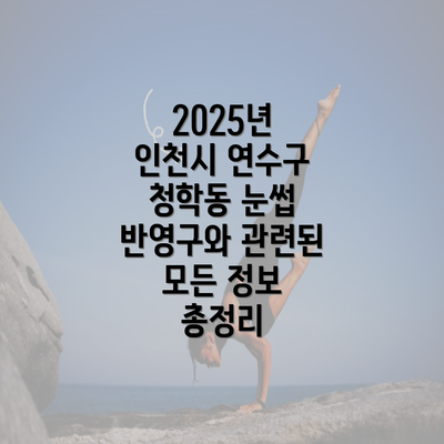 2025년 인천시 연수구 청학동 눈썹 반영구와 관련된 모든 정보 총정리