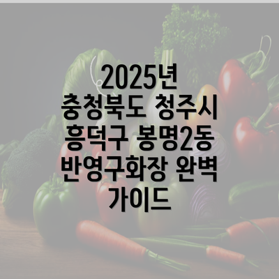 2025년 충청북도 청주시 흥덕구 봉명2동 반영구화장 완벽 가이드