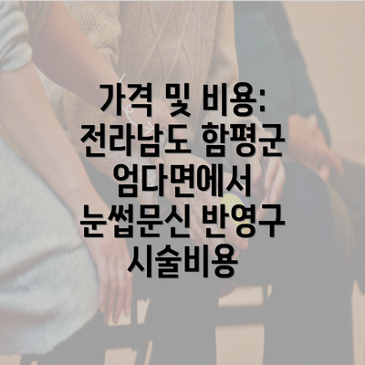 가격 및 비용: 전라남도 함평군 엄다면에서 눈썹문신 반영구 시술비용