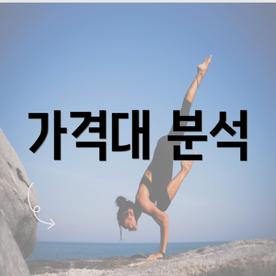 가격대 분석