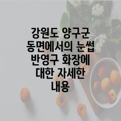 강원도 양구군 동면에서의 눈썹 반영구 화장에 대한 자세한 내용