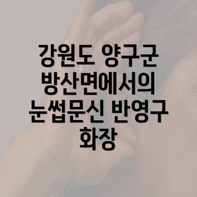 강원도 양구군 방산면에서의 눈썹문신 반영구 화장