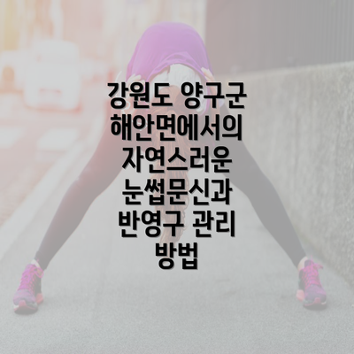 강원도 양구군 해안면에서의 자연스러운 눈썹문신과 반영구 관리 방법