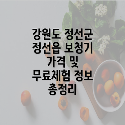 강원도 정선군 정선읍 보청기 가격 및 무료체험 정보 총정리