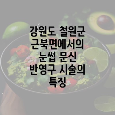 강원도 철원군 근북면에서의 눈썹 문신 반영구 시술의 특징