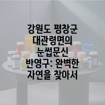 강원도 평창군 대관령면의 눈썹문신 반영구: 완벽한 자연을 찾아서