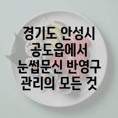 경기도 안성시 공도읍에서 눈썹문신 반영구 관리의 모든 것