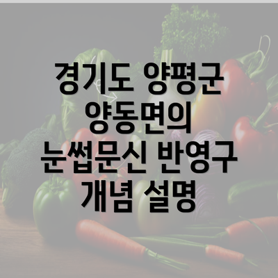 경기도 양평군 양동면의 눈썹문신 반영구 개념 설명