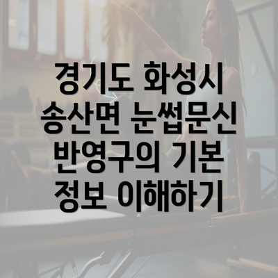 경기도 화성시 송산면 눈썹문신 반영구의 기본 정보 이해하기