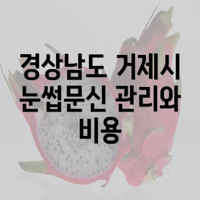 경상남도 거제시 눈썹문신 관리와 비용