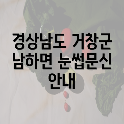 경상남도 거창군 남하면 눈썹문신 안내