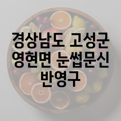 경상남도 고성군 영현면 눈썹문신 반영구