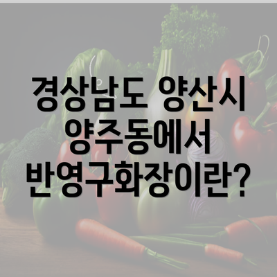 경상남도 양산시 양주동에서 반영구화장이란?