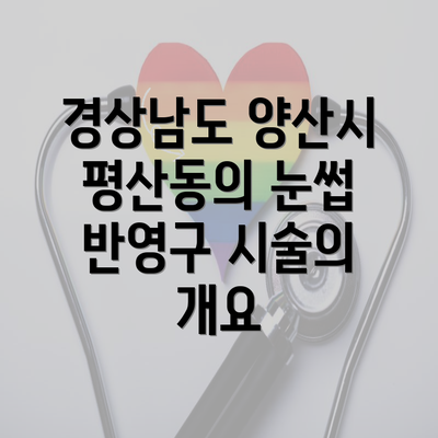 경상남도 양산시 평산동의 눈썹 반영구 시술의 개요