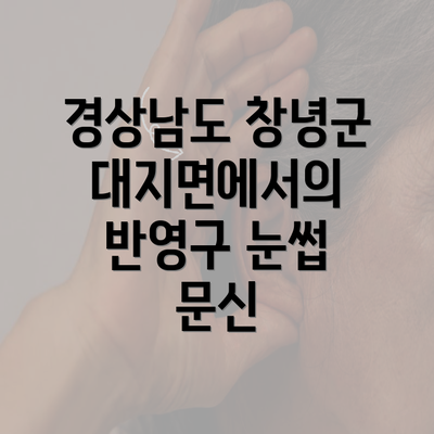 경상남도 창녕군 대지면에서의 반영구 눈썹 문신