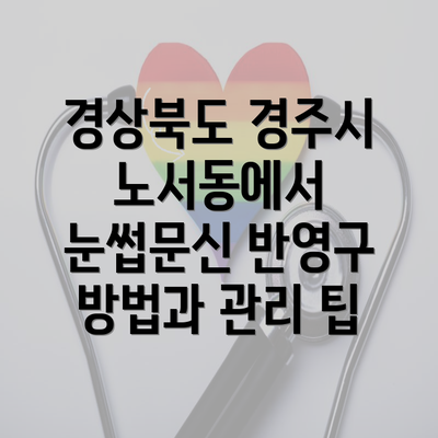 경상북도 경주시 노서동에서 눈썹문신 반영구 방법과 관리 팁