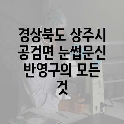 경상북도 상주시 공검면 눈썹문신 반영구의 모든 것