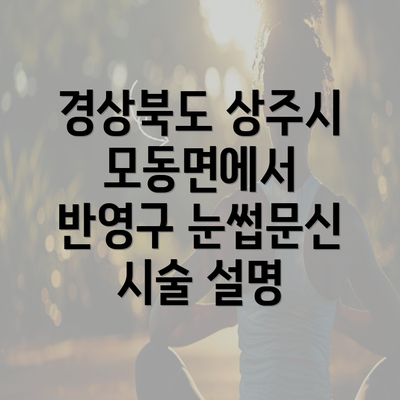 경상북도 상주시 모동면에서 반영구 눈썹문신 시술 설명