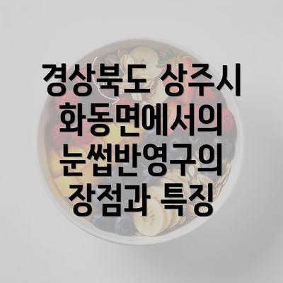 경상북도 상주시 화동면에서의 눈썹반영구의 장점과 특징