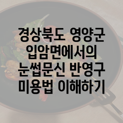 경상북도 영양군 입암면에서의 눈썹문신 반영구 미용법 이해하기