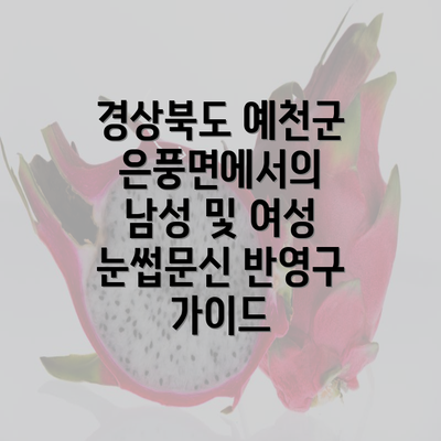 경상북도 예천군 은풍면에서의 남성 및 여성 눈썹문신 반영구 가이드