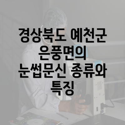 경상북도 예천군 은풍면의 눈썹문신 종류와 특징