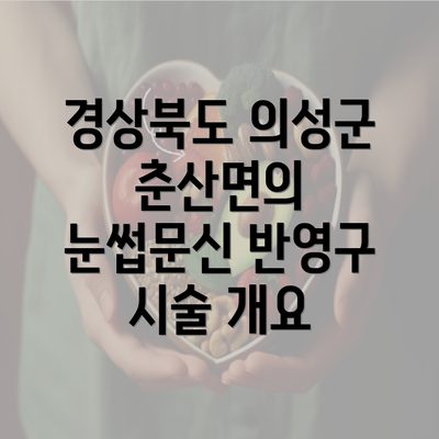 경상북도 의성군 춘산면의 눈썹문신 반영구 시술 개요