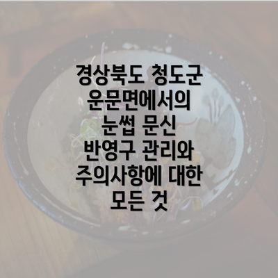 경상북도 청도군 운문면에서의 눈썹 문신 반영구 관리와 주의사항에 대한 모든 것