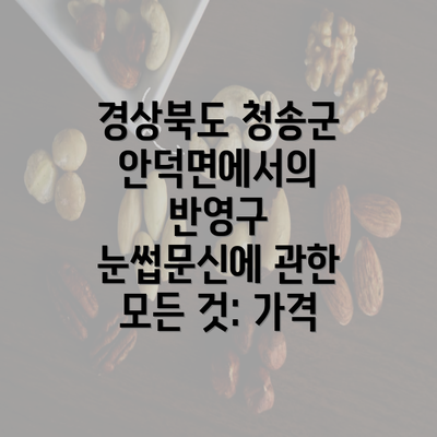 경상북도 청송군 안덕면에서의 반영구 눈썹문신에 관한 모든 것: 가격