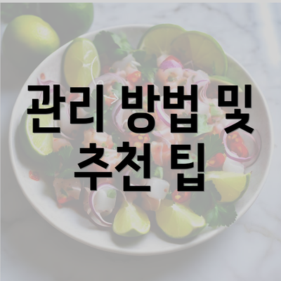 관리 방법 및 추천 팁