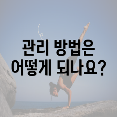 관리 방법은 어떻게 되나요?