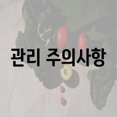 관리 주의사항