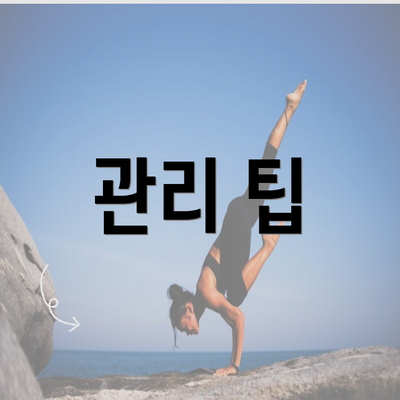 관리 팁