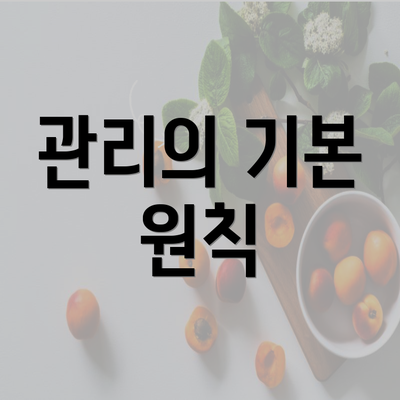 관리의 기본 원칙