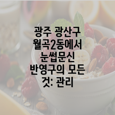 광주 광산구 월곡2동에서 눈썹문신 반영구의 모든 것: 관리