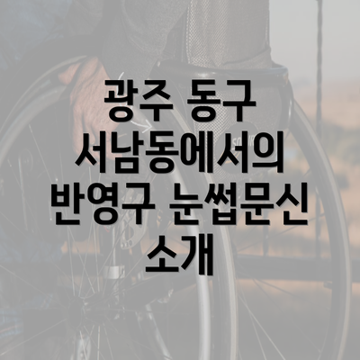 광주 동구 서남동에서의 반영구 눈썹문신 소개