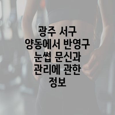 광주 서구 양동에서 반영구 눈썹 문신과 관리에 관한 정보