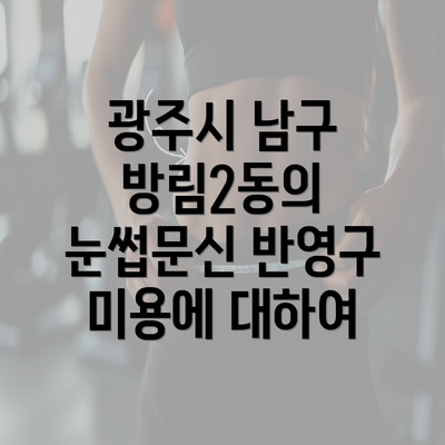 광주시 남구 방림2동의 눈썹문신 반영구 미용에 대하여