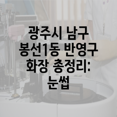 광주시 남구 봉선1동 반영구 화장 총정리: 눈썹