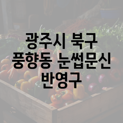 광주시 북구 풍향동 눈썹문신 반영구